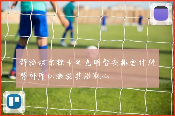 舒梅切尔称卡里克明智安排舍什科替补席以激发其进取心
